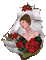 red rose - Ingyenes animált GIF animált GIF