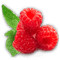 raspberries bp