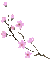 spring blossom - Gratis geanimeerde GIF geanimeerde GIF