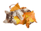 Autumn Fall Kitten Cat - Free PNG Animated GIF