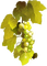 grapes bp - Free PNG Animated GIF