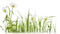hierba - nemokama png animuotas GIF