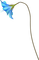 minou-blue-flower - ilmainen png animoitu GIF