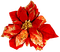 Christmas.Flower.Red.Gold - Free PNG Animated GIF
