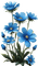 Flores azules - png gratuito GIF animata