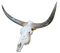 cow skull - png gratuito GIF animata