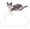 chat nuage - GIF animé gratuit GIF animé