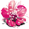 Flowers pink bp - GIF animado grátis Gif Animado