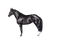 horse - δωρεάν png κινούμενο GIF