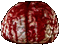 brain - 無料のアニメーション GIF アニメーションGIF