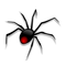 spider spinne  araignée  insect halloween gothic  tube - PNG gratuit GIF animé