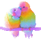 love birds parrots gif oiseau perroquet amour - GIF animé gratuit GIF animé