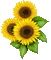 sunflowers bp - GIF animado grátis Gif Animado