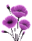 Flores moradas - 無料のアニメーション GIF アニメーションGIF