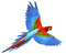Kaz_Creations Birds Bird - δωρεάν png κινούμενο GIF