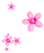 Pearl.Flowers.Pink - PNG gratuit GIF animé