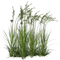 Tube Plante Verte