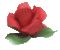 rosas by EstrellaCristal - GIF animasi gratis GIF animasi