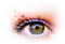 Kaz_Creations  Eyes Eye