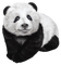 panda - kostenlos png Animiertes GIF