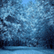 Snowy Forest - Darmowy animowany GIF animowany gif