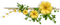 minou-yellow flowers-Fleurs jaunes-fiori gialli-gula blommor - png gratuito GIF animata