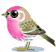 birds katrin - 無料のアニメーション GIF アニメーションGIF