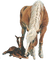 horse  dubravka4 - bezmaksas png animēts GIF