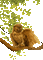 owl tree - Bezmaksas animēts GIF animēts GIF