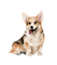 Собака, акварель - ilmainen png animoitu GIF