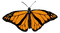 Kaz_Creations Butterfly - nemokama png animuotas GIF