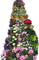 Pflanze - besplatni png animirani GIF