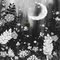 Y.A.M._Art Japan landscape background black-white - Ilmainen animoitu GIF animoitu GIF