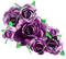Roses.Purple - zadarmo png animovaný GIF