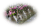 patymirabelle paysage escalier - 免费PNG 动画 GIF
