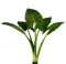 plants katrin - nemokama png animuotas GIF