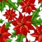 Poinsettias - png gratis GIF animasi