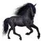 aze cheval noir black - PNG gratuit GIF animé