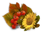 Kaz_Creations Autumn Deco - Free PNG Animated GIF