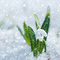 charmille _ fleurs - Nemokamas animacinis gif animuotas GIF