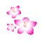 Flores - Nemokamas animacinis gif animuotas GIF