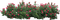 plant-bush-flower - фрее пнг анимирани ГИФ