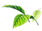 leaves - kostenlos png Animiertes GIF