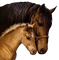 cheval - zadarmo png animovaný GIF