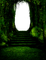Green background - Fond Vert - nemokama png animuotas GIF