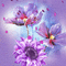 ME / BG.anim.flowrts.petals.purple.idca - Bezmaksas animēts GIF animēts GIF