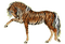 fantasy horse bp - darmowe png animowany gif