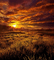 Rena Landschaft Hintergrund Sun - gratis png animeret GIF