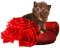 patricia87 chat - kostenlos png Animiertes GIF