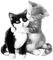 soave deco valentine animals cat dog friends - 免费PNG 动画 GIF